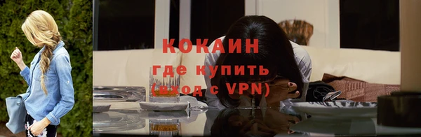 Альфа ПВП Инта