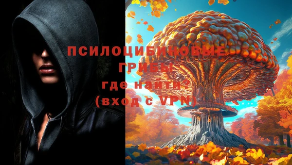 Альфа ПВП Инта