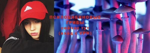 Альфа ПВП Инта