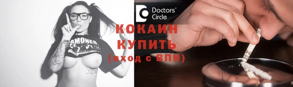 Альфа ПВП Инта