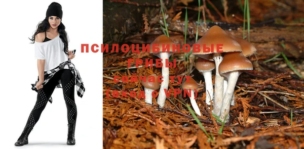 Альфа ПВП Инта