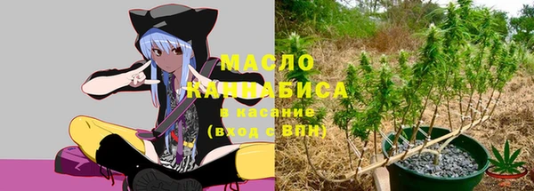 СК Инсар