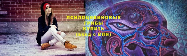 СК Инсар