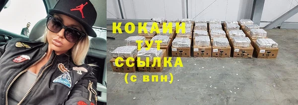 Альфа ПВП Инта