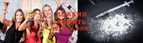 Альфа ПВП Инта